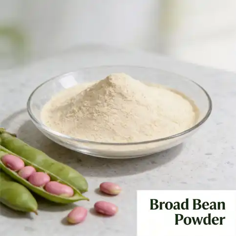 How to Source Reliable Broad Bean Powder Suppliers?